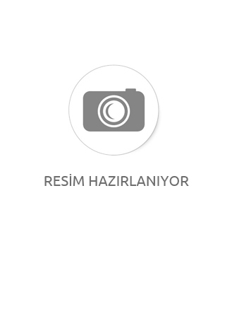 Çelik  Küpe